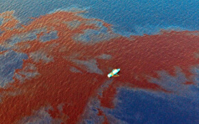 Oil Spills